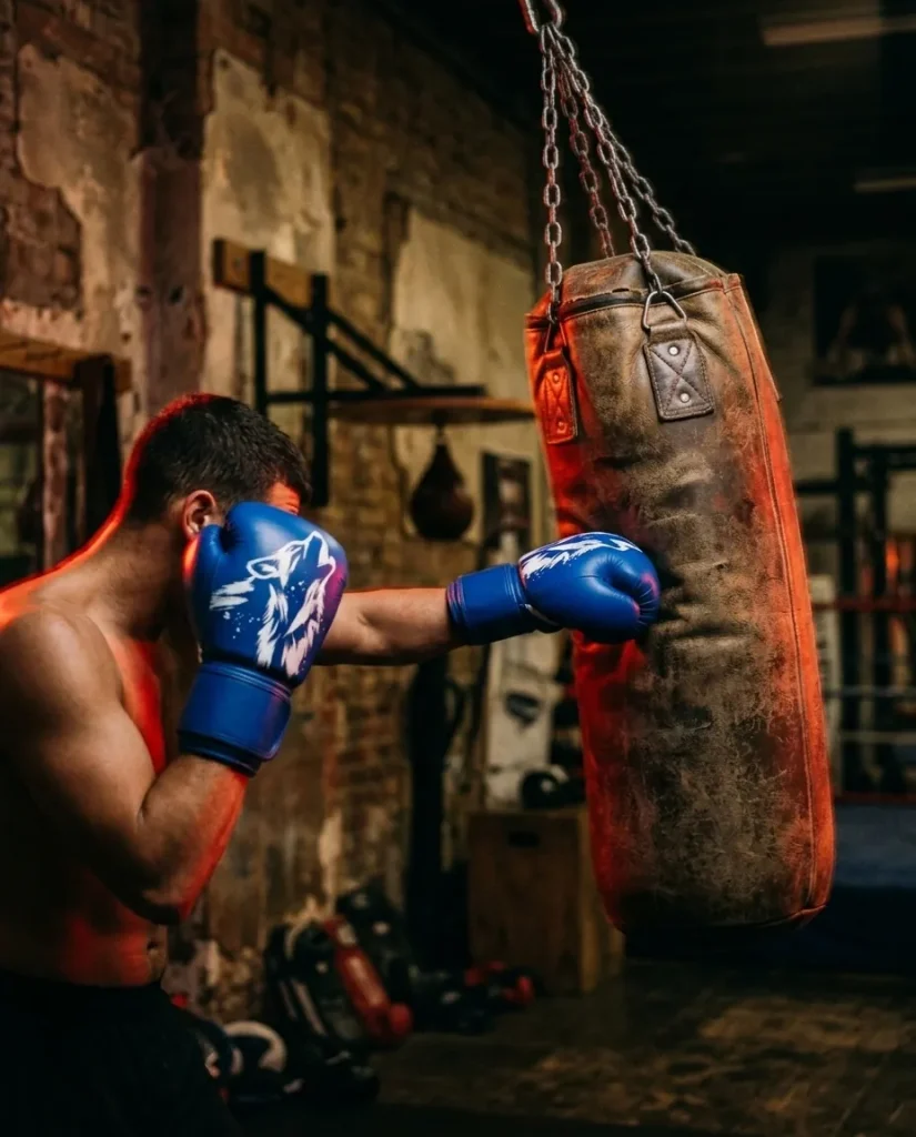 Wolf Sparring Gloves, in use